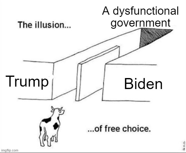 Now let's just get things clear | A dysfunctional government; Trump; Biden | image tagged in illusion of free choice | made w/ Imgflip meme maker