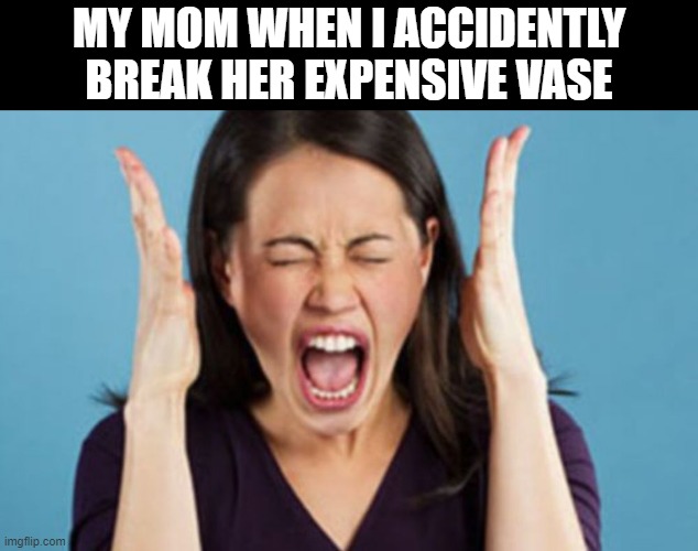 my mom when i break her expensive vase | MY MOM WHEN I ACCIDENTLY BREAK HER EXPENSIVE VASE | image tagged in yelling mom | made w/ Imgflip meme maker