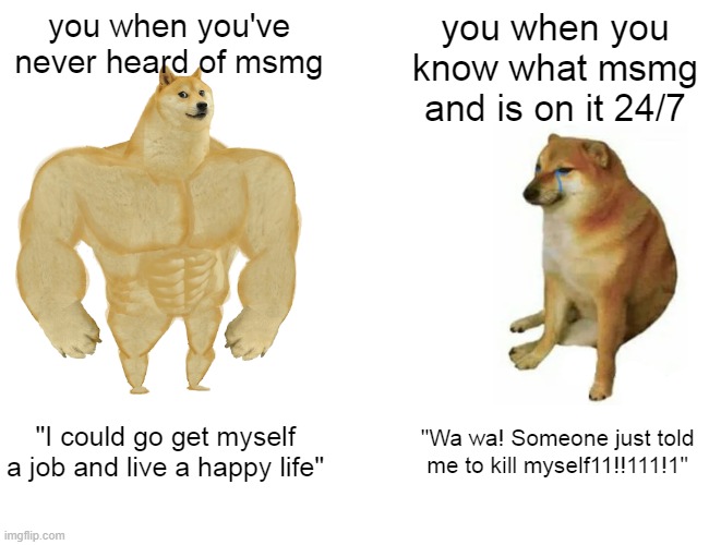 Buff Doge vs. Cheems | you when you've never heard of msmg; you when you know what msmg and is on it 24/7; "I could go get myself a job and live a happy life"; "Wa wa! Someone just told me to kill myself11!!111!1" | image tagged in memes,buff doge vs cheems | made w/ Imgflip meme maker