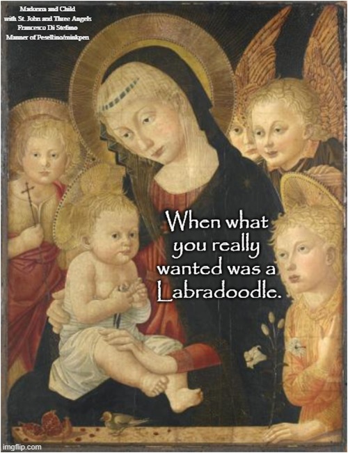 Labradoodle | image tagged in art,renaissance,baby jesus,disappointment | made w/ Imgflip meme maker