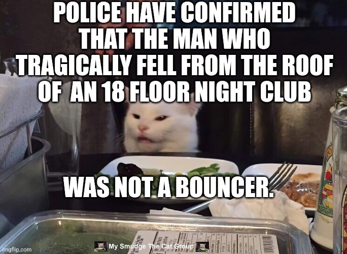 POLICE HAVE CONFIRMED THAT THE MAN WHO TRAGICALLY FELL FROM THE ROOF OF  AN 18 FLOOR NIGHT CLUB; WAS NOT A BOUNCER. | image tagged in smudge the cat | made w/ Imgflip meme maker