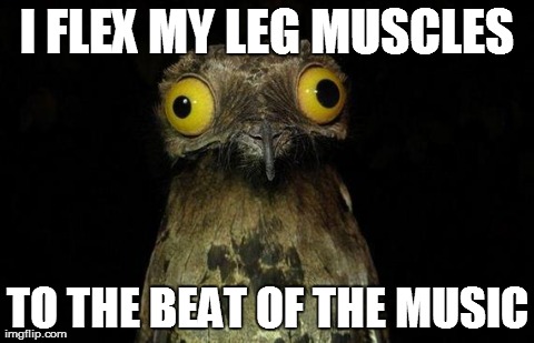 Weird Stuff I Do Potoo Meme | I FLEX MY LEG MUSCLES TO THE BEAT OF THE MUSIC | image tagged in memes,weird stuff i do potoo,AdviceAnimals | made w/ Imgflip meme maker