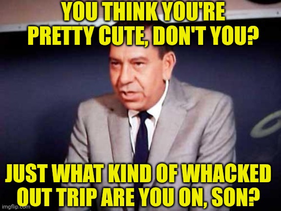 You think you're pretty cute, don't you? | YOU THINK YOU'RE PRETTY CUTE, DON'T YOU? JUST WHAT KIND OF WHACKED OUT TRIP ARE YOU ON, SON? | image tagged in sgt joe friday-dragnet | made w/ Imgflip meme maker