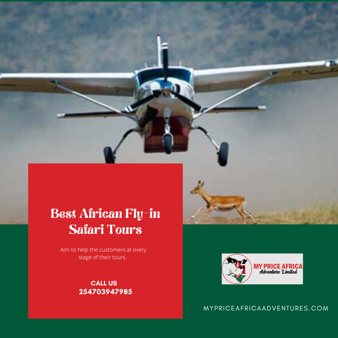 Best African Fly-in Safari Tours Blank Meme Template