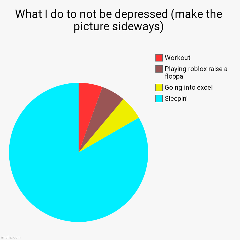 What I do to not be depressed (make the picture sideways) | Sleepin', Going into excel, Playing roblox raise a floppa, Workout | image tagged in charts,pie charts | made w/ Imgflip chart maker
