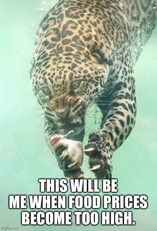 When Food Prices Become Too High | THIS WILL BE ME WHEN FOOD PRICES BECOME TOO HIGH. | image tagged in inflation,big cats,food,leopard,jaguar | made w/ Imgflip meme maker