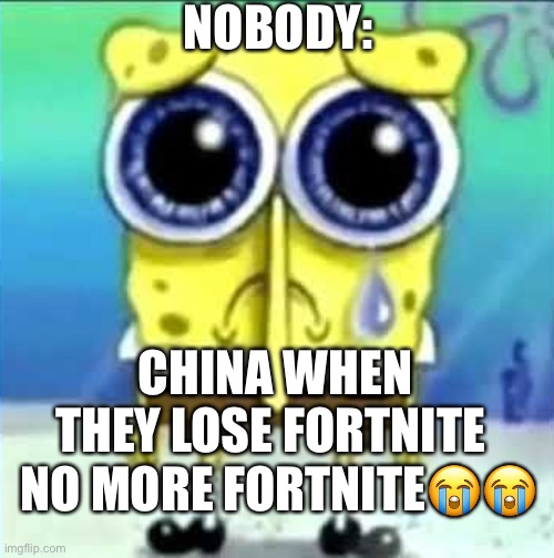 Fortnite | NOBODY:; CHINA WHEN THEY LOSE FORTNITE; NO MORE FORTNITE😭😭 | image tagged in no more fortnite | made w/ Imgflip meme maker