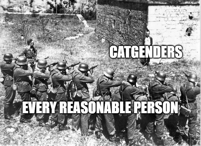 All I can say is. Bruh. | CATGENDERS; EVERY REASONABLE PERSON | image tagged in firing squad smiling | made w/ Imgflip meme maker