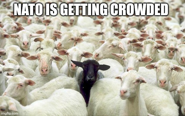 NATO getting crowded | NATO IS GETTING CROWDED | image tagged in black sheep,nato | made w/ Imgflip meme maker