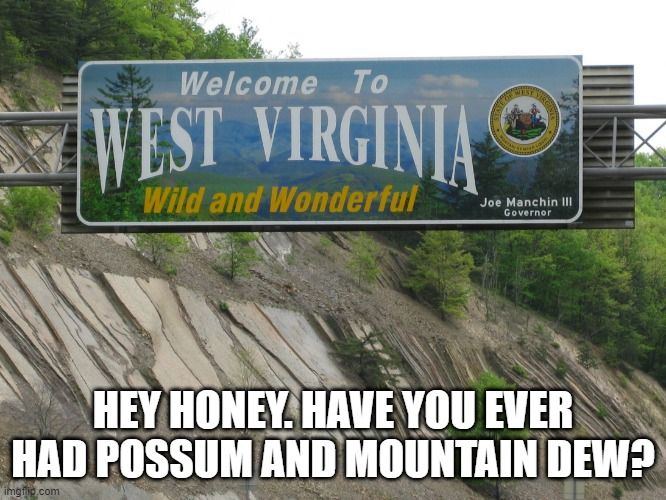 west virginia | HEY HONEY. HAVE YOU EVER HAD POSSUM AND MOUNTAIN DEW? | image tagged in west virginia | made w/ Imgflip meme maker
