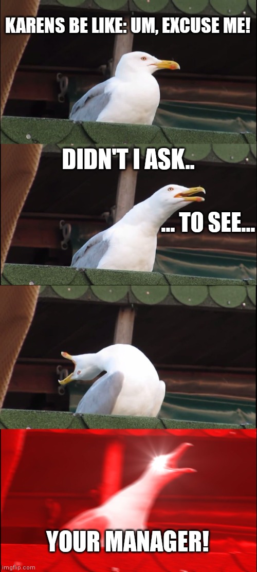 Karen | KARENS BE LIKE: UM, EXCUSE ME! DIDN'T I ASK.. ... TO SEE... YOUR MANAGER! | image tagged in memes,inhaling seagull | made w/ Imgflip meme maker