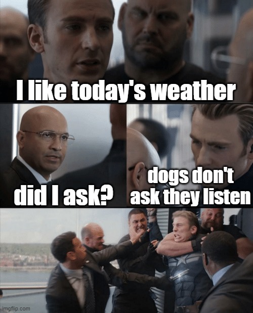 Captain America Elevator Fight |  I like today's weather; did I ask? dogs don't ask they listen | image tagged in captain america elevator fight | made w/ Imgflip meme maker