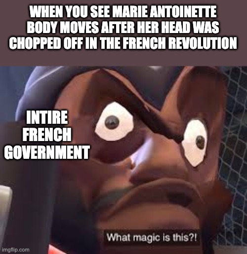 History has a dark turn | WHEN YOU SEE MARIE ANTOINETTE BODY MOVES AFTER HER HEAD WAS CHOPPED OFF IN THE FRENCH REVOLUTION; INTIRE FRENCH GOVERNMENT | image tagged in what magic is this | made w/ Imgflip meme maker