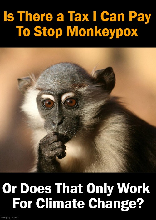 Deep Thoughts |  Is There a Tax I Can Pay 
To Stop Monkeypox; Or Does That Only Work 
For Climate Change? | image tagged in politics,democrats,deep thoughts,monkeypox,climate change,political humor | made w/ Imgflip meme maker