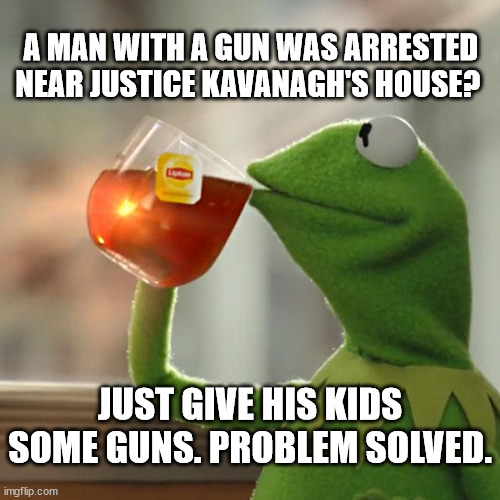 But That's None Of My Business | A MAN WITH A GUN WAS ARRESTED NEAR JUSTICE KAVANAGH'S HOUSE? JUST GIVE HIS KIDS SOME GUNS. PROBLEM SOLVED. | image tagged in memes,but that's none of my business,kermit the frog | made w/ Imgflip meme maker