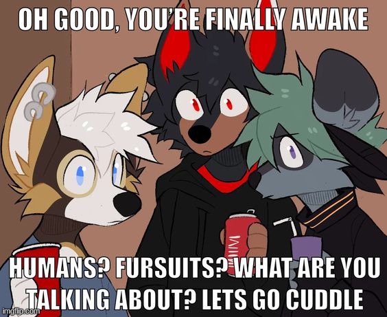 somewhere in an alternate universe | image tagged in furry | made w/ Imgflip meme maker