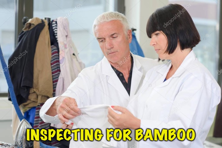 INSPECTING FOR BAMBOO | made w/ Imgflip meme maker