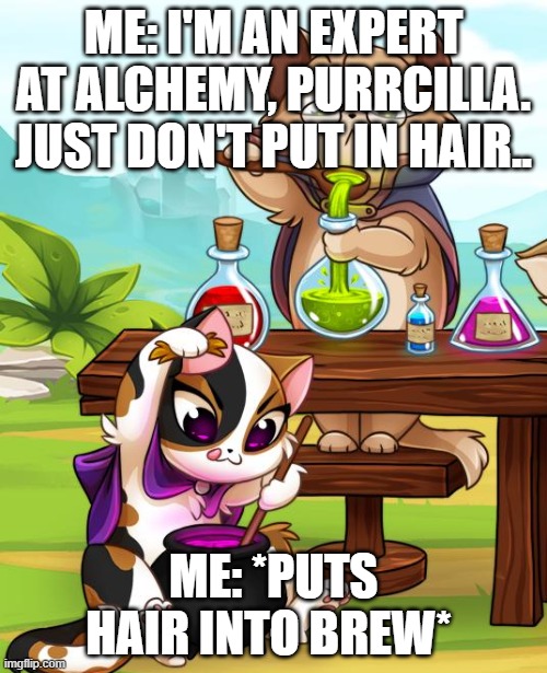 SHE DIDN'T LISTEN ITS THE END OF THE WORLD | ME: I'M AN EXPERT AT ALCHEMY, PURRCILLA. JUST DON'T PUT IN HAIR.. ME: *PUTS HAIR INTO BREW* | image tagged in is she better at this,castle cats | made w/ Imgflip meme maker