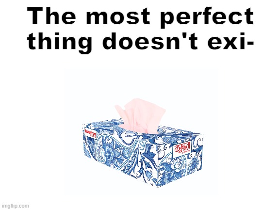 Tissue perfection | The most perfect thing doesn't exi- | image tagged in tissue,perfection,memes,funny,funny memes,meme | made w/ Imgflip meme maker