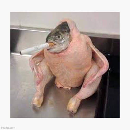 Smoking Fish | image tagged in chicken,fish,smoking,cursedimages666 | made w/ Imgflip meme maker