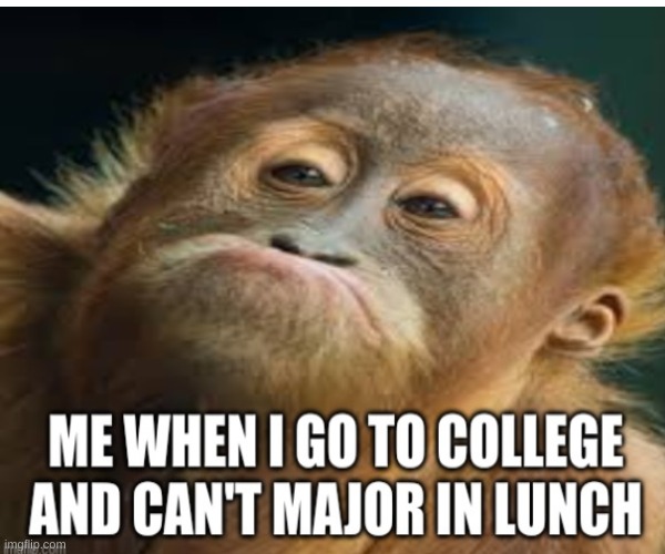 image tagged in orangutan,lunch,college,funny face | made w/ Imgflip meme maker