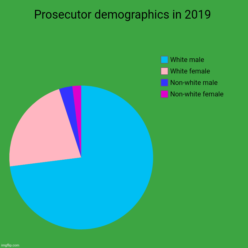 Why minorities are disproportionately sent to prison | Prosecutor demographics in 2019 | Non-white female, Non-white male, White female, White male | image tagged in charts,pie charts,bias,inequality | made w/ Imgflip chart maker