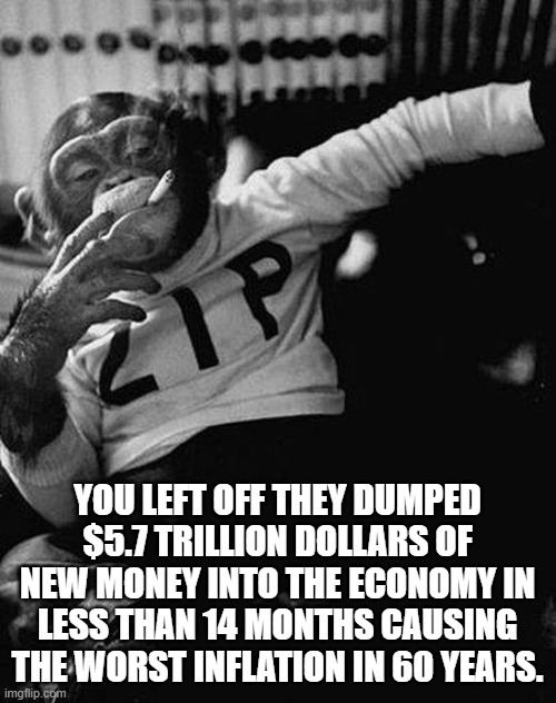 Zip the Smoking Chimp | YOU LEFT OFF THEY DUMPED $5.7 TRILLION DOLLARS OF NEW MONEY INTO THE ECONOMY IN LESS THAN 14 MONTHS CAUSING THE WORST INFLATION IN 60 YEARS. | image tagged in zip the smoking chimp | made w/ Imgflip meme maker