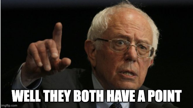 Bernie He Has A Point | WELL THEY BOTH HAVE A POINT | image tagged in bernie he has a point | made w/ Imgflip meme maker