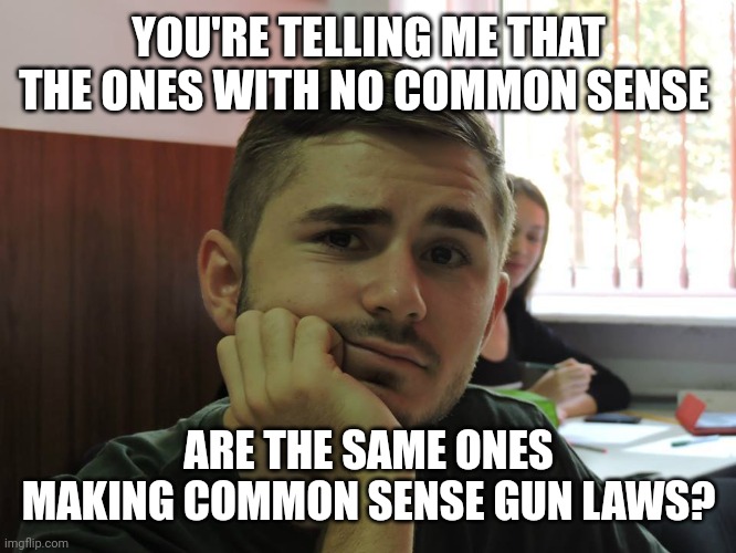 Need common sense for common sense gun laws. | YOU'RE TELLING ME THAT THE ONES WITH NO COMMON SENSE; ARE THE SAME ONES MAKING COMMON SENSE GUN LAWS? | image tagged in so you're telling me | made w/ Imgflip meme maker