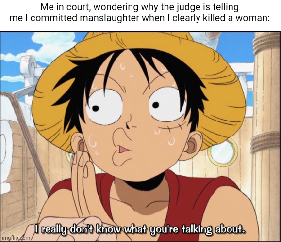 . | Me in court, wondering why the judge is telling me I committed manslaughter when I clearly killed a woman: | image tagged in e | made w/ Imgflip meme maker