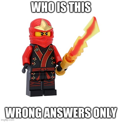 I wonder who it is | WHO IS THIS; WRONG ANSWERS ONLY | image tagged in ninjago | made w/ Imgflip meme maker