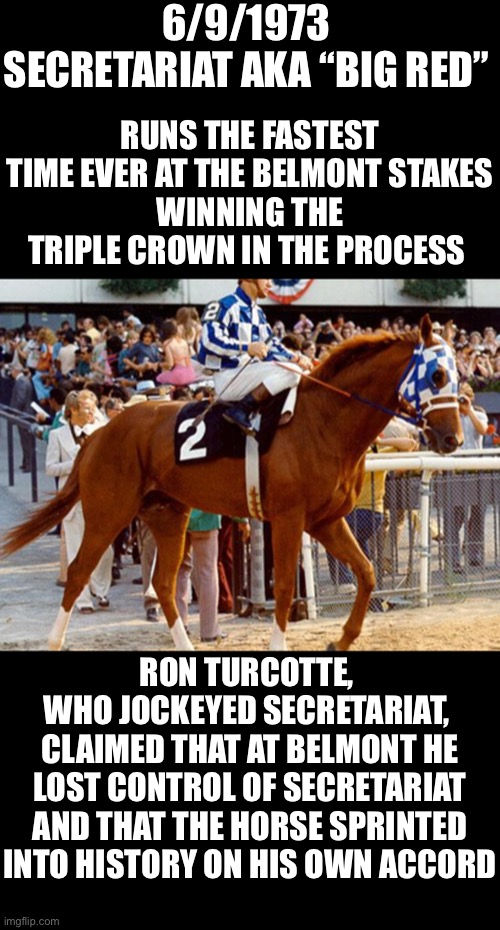 History of the day |  6/9/1973
SECRETARIAT AKA “BIG RED”; RUNS THE FASTEST TIME EVER AT THE BELMONT STAKES
WINNING THE TRIPLE CROWN IN THE PROCESS; RON TURCOTTE, 
WHO JOCKEYED SECRETARIAT, 
CLAIMED THAT AT BELMONT HE LOST CONTROL OF SECRETARIAT AND THAT THE HORSE SPRINTED INTO HISTORY ON HIS OWN ACCORD | image tagged in history memes,history,horses,quotes | made w/ Imgflip meme maker