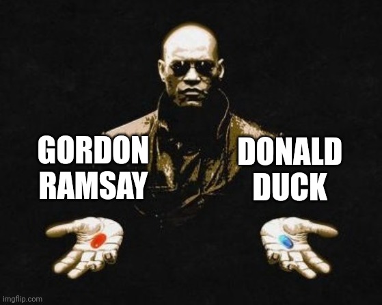 Toughie |  DONALD DUCK; GORDON RAMSAY | image tagged in choices | made w/ Imgflip meme maker