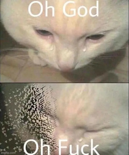 when mum aborts u | image tagged in oh god oh fuck cat | made w/ Imgflip meme maker