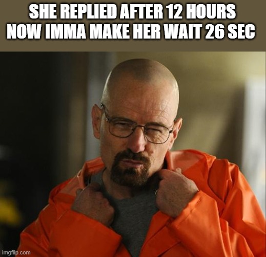 Walter white Approves | SHE REPLIED AFTER 12 HOURS NOW IMMA MAKE HER WAIT 26 SEC | image tagged in walter white approves | made w/ Imgflip meme maker
