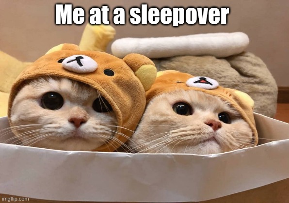 Me at a sleepover | image tagged in sleepover | made w/ Imgflip meme maker