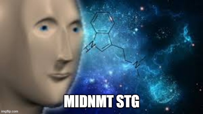 surreal | MIDNMT STG | image tagged in surreal | made w/ Imgflip meme maker