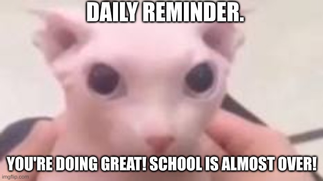 School is almost over! | DAILY REMINDER. YOU'RE DOING GREAT! SCHOOL IS ALMOST OVER! | image tagged in fun | made w/ Imgflip meme maker