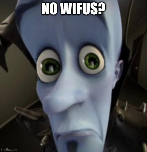 Megamind question | NO WIFUS? | image tagged in megamind question | made w/ Imgflip meme maker