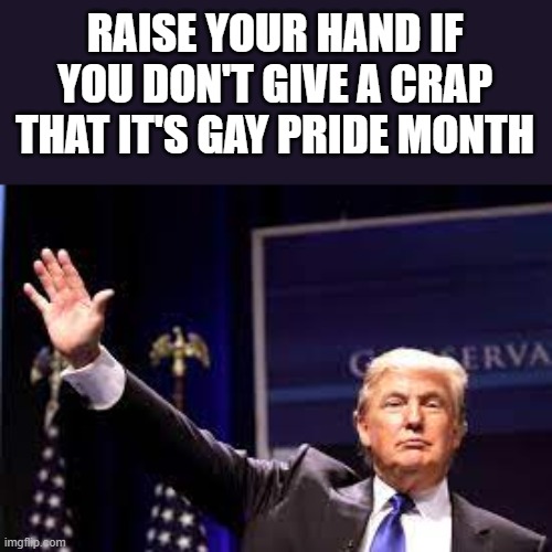 Donald Trump Gay Pride Month |  RAISE YOUR HAND IF YOU DON'T GIVE A CRAP THAT IT'S GAY PRIDE MONTH | image tagged in gay pride,gay,donald trump,gay pride month,funny,memes | made w/ Imgflip meme maker