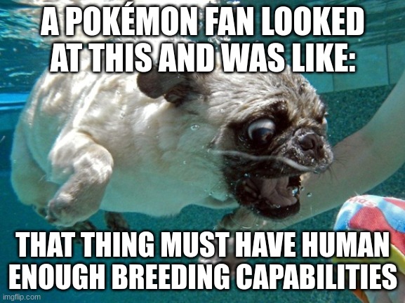 did you know that in terms of male human and female pokemon... |  A POKÉMON FAN LOOKED AT THIS AND WAS LIKE:; THAT THING MUST HAVE HUMAN ENOUGH BREEDING CAPABILITIES | image tagged in pokemon | made w/ Imgflip meme maker