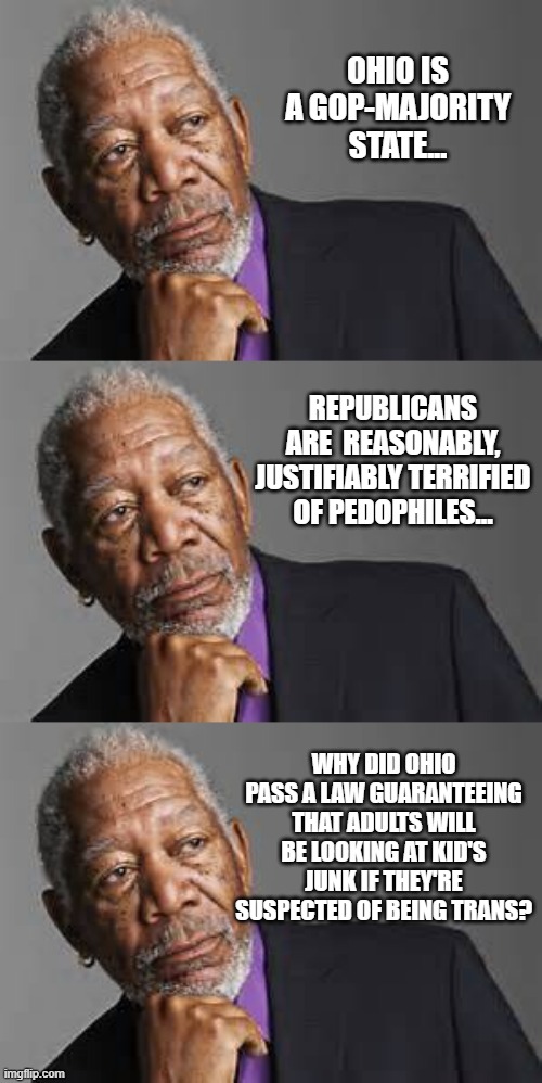 OHIO IS A GOP-MAJORITY STATE... REPUBLICANS ARE  REASONABLY, JUSTIFIABLY TERRIFIED OF PEDOPHILES... WHY DID OHIO PASS A LAW GUARANTEEING THAT ADULTS WILL BE LOOKING AT KID'S JUNK IF THEY'RE SUSPECTED OF BEING TRANS? | image tagged in deep thoughts by morgan freeman | made w/ Imgflip meme maker