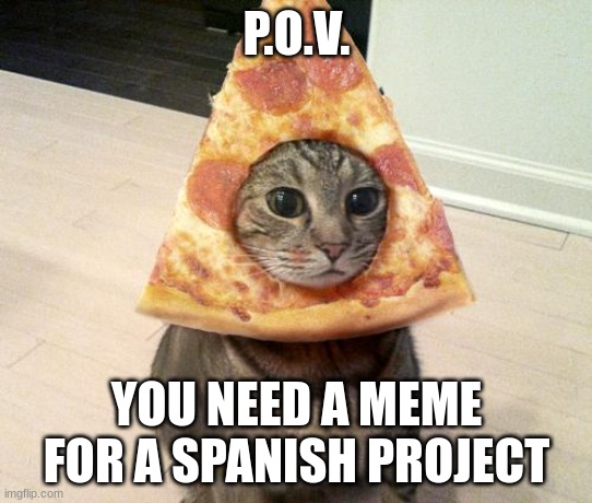 pizza cat | P.O.V. YOU NEED A MEME FOR A SPANISH PROJECT | image tagged in pizza cat | made w/ Imgflip meme maker