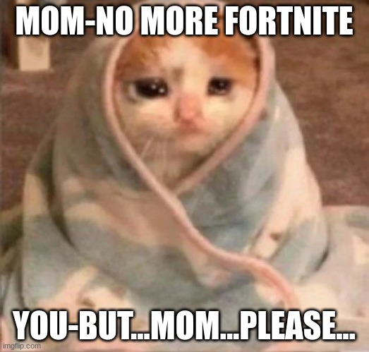 sad cat no fortnite | MOM-NO MORE FORTNITE; YOU-BUT...MOM...PLEASE... | image tagged in sad cat | made w/ Imgflip meme maker