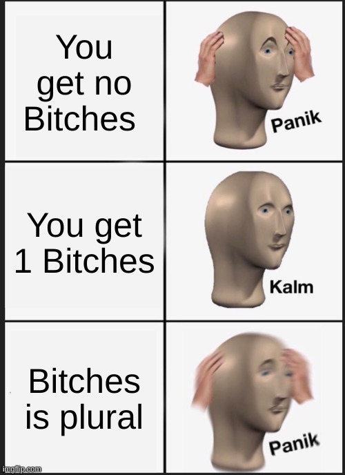 Panik Kalm Panik | You get no Bitches; You get 1 Bitches; Bitches is plural | image tagged in memes,panik kalm panik | made w/ Imgflip meme maker