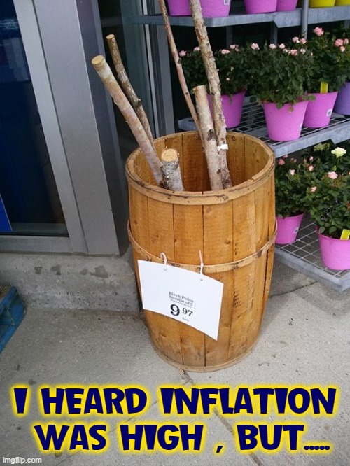 The sad part... they're almost out! | I HEARD INFLATION  WAS HIGH , BUT..... | image tagged in vince vance,expensive,sticks,inflation,stupid signs,memes | made w/ Imgflip meme maker