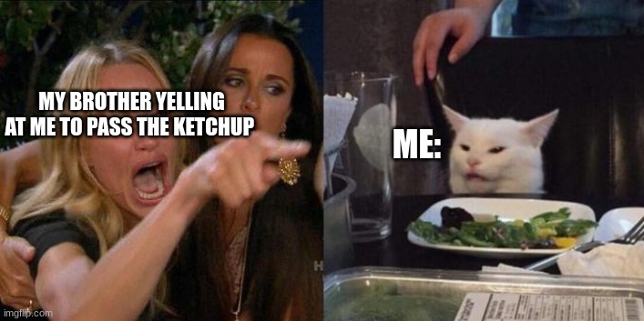 Woman Screaming at Cat | MY BROTHER YELLING AT ME TO PASS THE KETCHUP; ME: | image tagged in woman screaming at cat | made w/ Imgflip meme maker