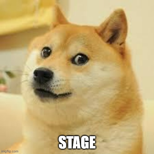 Square Doge | STAGE | image tagged in square doge | made w/ Imgflip meme maker