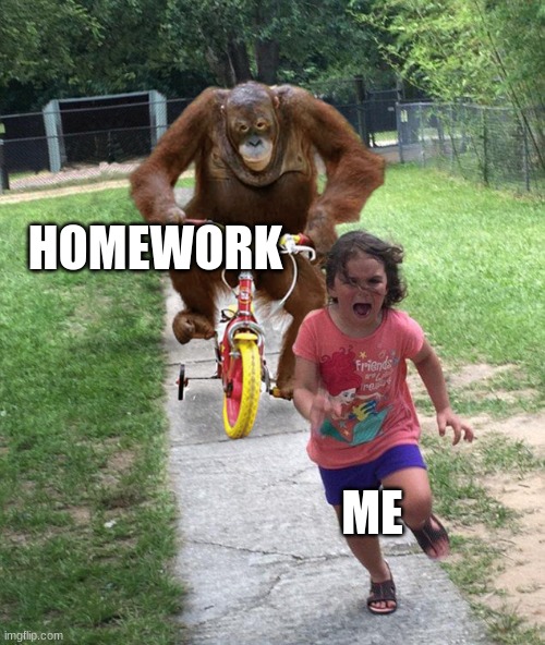 homework |  HOMEWORK; ME | image tagged in orangutan chasing girl on a tricycle | made w/ Imgflip meme maker