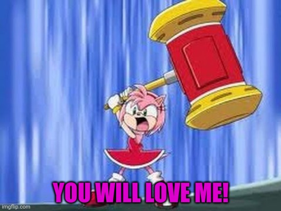 Amy Rose Problems | YOU WILL LOVE ME! | image tagged in angry amy rose,amy rose,sonic the hedgehog | made w/ Imgflip meme maker